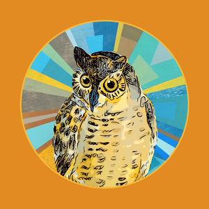 Owl | Open Edition Print — LAYLA LUNA STUDIO | GALLERY | SHOP
